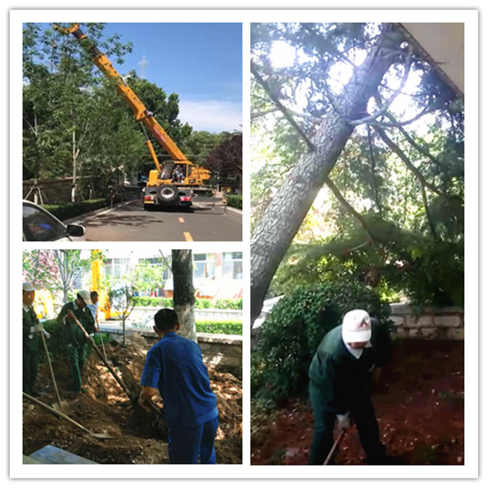 暴雨來襲 “中房物業人”溫暖業主心2.jpg